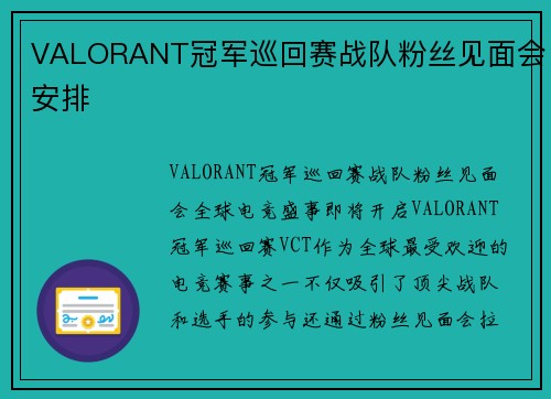VALORANT冠军巡回赛战队粉丝见面会安排
