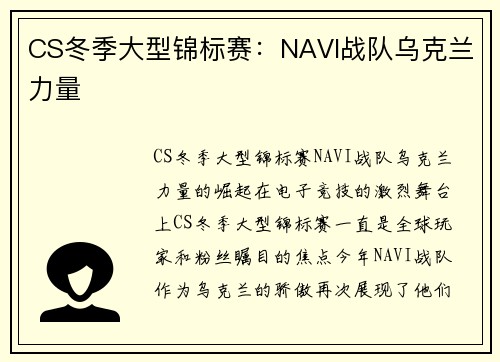 CS冬季大型锦标赛：NAVI战队乌克兰力量