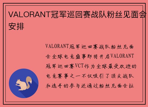 VALORANT冠军巡回赛战队粉丝见面会安排